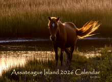 Load image into Gallery viewer, 2026 Calendar - Assateague Island Alliance