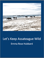 Load image into Gallery viewer, Let&#39;s Keep Assateague Wild by Emma Hubbard
