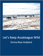 Load image into Gallery viewer, Let's Keep Assateague Wild by Emma Hubbard