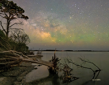 Load image into Gallery viewer, 2026 Calendar - Assateague Island Alliance