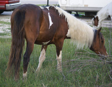 Load image into Gallery viewer, T3M “Bolt”