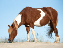 Load image into Gallery viewer, M6MS-G "Chestnut"