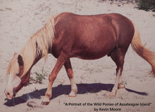 Load image into Gallery viewer, M6IMQV "Danielle's Dream"