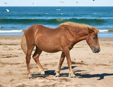 Load image into Gallery viewer, N6BMT-FU "Dune Dancer Jolt"