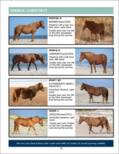 Load image into Gallery viewer, 2025 Field Guide to the Wild Horses of Assateague Island