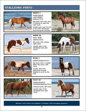 Load image into Gallery viewer, 2025 Field Guide to the Wild Horses of Assateague Island