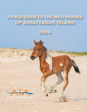 Load image into Gallery viewer, 2024 Field Guide to the Wild Horses of Assateague Island

