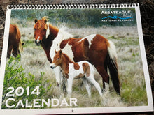 Load image into Gallery viewer, N10R-G “Angel Face”