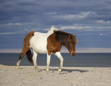 Load image into Gallery viewer, N2BHS-MR "Seases Bay Breeze"