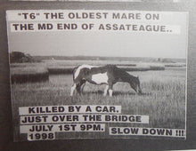 Load image into Gallery viewer, T6