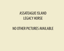 Load image into Gallery viewer, N10E "Nellie"