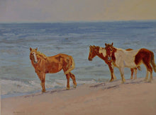 Load image into Gallery viewer, Plein Air Painting the Assateague Back Country with Special Photography Sessions - THREE DAY WORKSHOP 2025