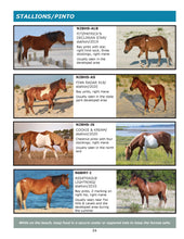 Load image into Gallery viewer, 40% off 2023 Field Guide to the Wild Horses of Assateague Island