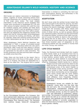 Load image into Gallery viewer, 40% off 2023 Field Guide to the Wild Horses of Assateague Island