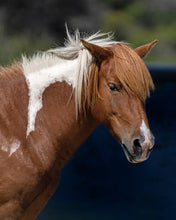Load image into Gallery viewer, N2BHS-I "Annie Laurie"