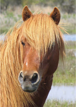 Load image into Gallery viewer, X15NY "Corky"