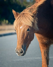 Load image into Gallery viewer, N2BHS-AIO "Mieke's Noe'lani"