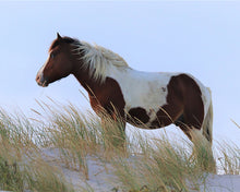 Load image into Gallery viewer, N10O-J "Dewey"
