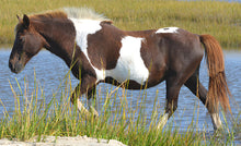 Load image into Gallery viewer, N10O "Tipperary"