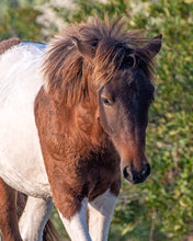 Load image into Gallery viewer, N2BHS-MR "Seases Bay Breeze"