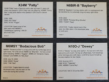 Load image into Gallery viewer, Series 4 - Limited Edition Assateague Horse Trading Cards