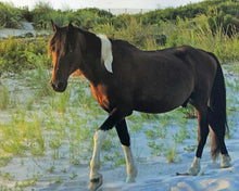 Load image into Gallery viewer, M6MQ "Streak"