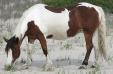 Load image into Gallery viewer, T6M "Precious"