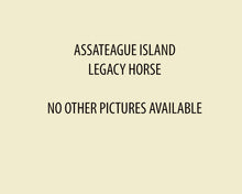 Load image into Gallery viewer, N6BK “Bessy Twister”