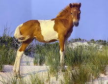 Load image into Gallery viewer, N10R-G “Angel Face”