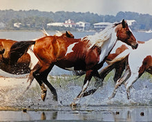 Load image into Gallery viewer, T3M “Bolt”