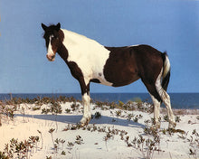 Load image into Gallery viewer, M6L “Dani”