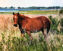 Load image into Gallery viewer, M17GM “Dee’s Heart”