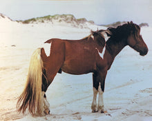 Load image into Gallery viewer, X24MR “Fancy’s Man”