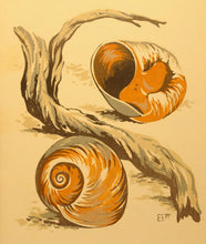 Load image into Gallery viewer, Hungerford Cards - Vintage Reprints
