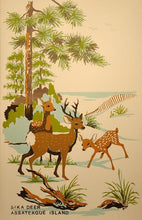 Load image into Gallery viewer, Hungerford Cards - Vintage Reprints