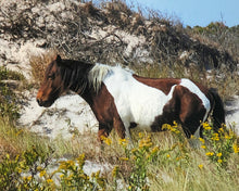 Load image into Gallery viewer, N6EH “Sarah”