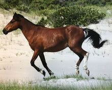 Load image into Gallery viewer, T5AF “Taffy”