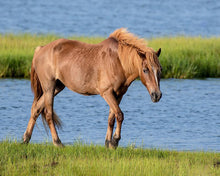 Load image into Gallery viewer, M2EIQ "Christina Key"