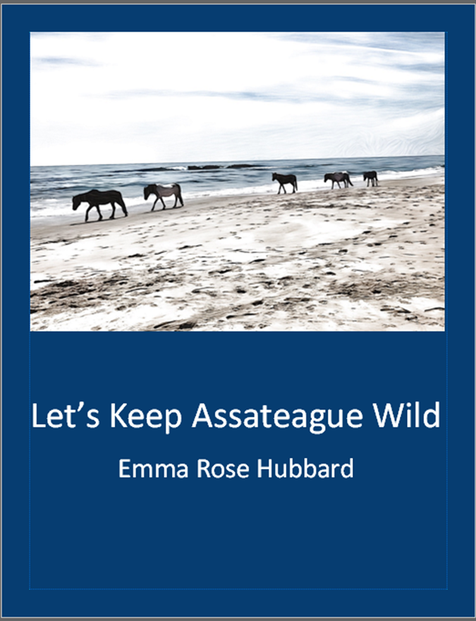 Let's Keep Assateague Wild by Emma Hubbard