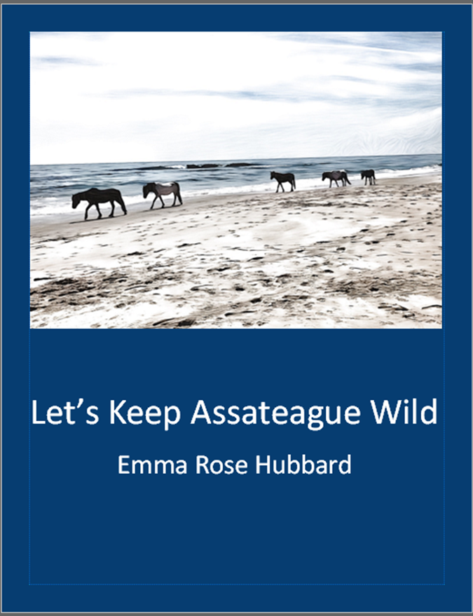 Let's Keep Assateague Wild by Emma Hubbard – Assateague Island