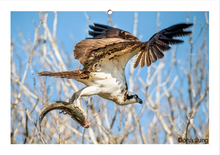 Load image into Gallery viewer, People&#39;s Choice Photo Contest Entry Fee
