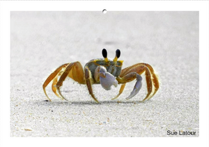 People's Choice Photo Contest Entry Fee