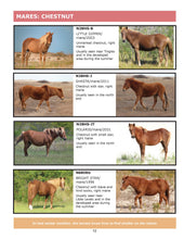 Load image into Gallery viewer, 2024 Field Guide to the Wild Horses of Assateague Island

