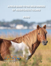 Load image into Gallery viewer, 2026 Field Guide to the Wild Horses of Assateague Island

