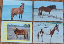 Load image into Gallery viewer, Series 6 - Limited Edition Assateague Horse Trading Cards
