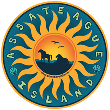 Load image into Gallery viewer, Assateague Island Stickers by Her Planet CreativeCo
