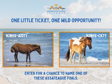 Load image into Gallery viewer, Name Those Foals RAFFLE - N2BHS-AIOTY and N2BHS-CKTY
