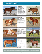 Load image into Gallery viewer, 2023 Field Guide to the Wild Horses of Assateague Island
