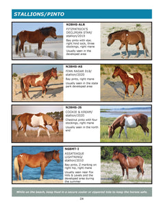 40% off 2023 Field Guide to the Wild Horses of Assateague Island