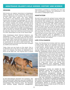40% off 2023 Field Guide to the Wild Horses of Assateague Island